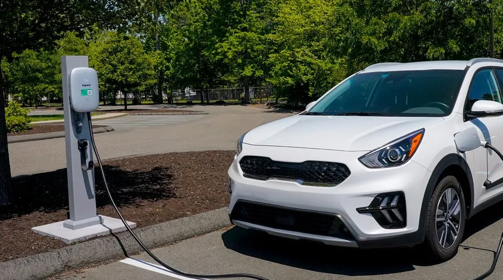 Slide of Lyle W Williams