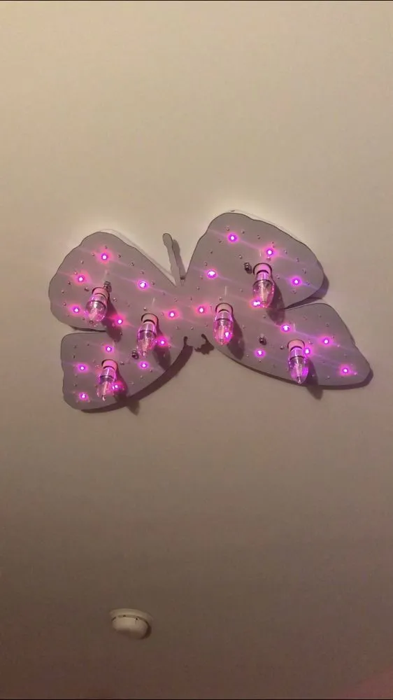 Emergency outlet and switch repair in , by Lynches River Electrical