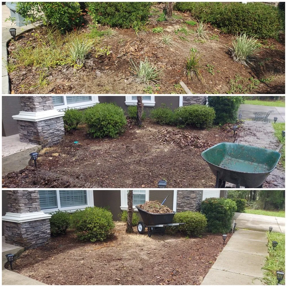 Slide of Lynn Carroll Services