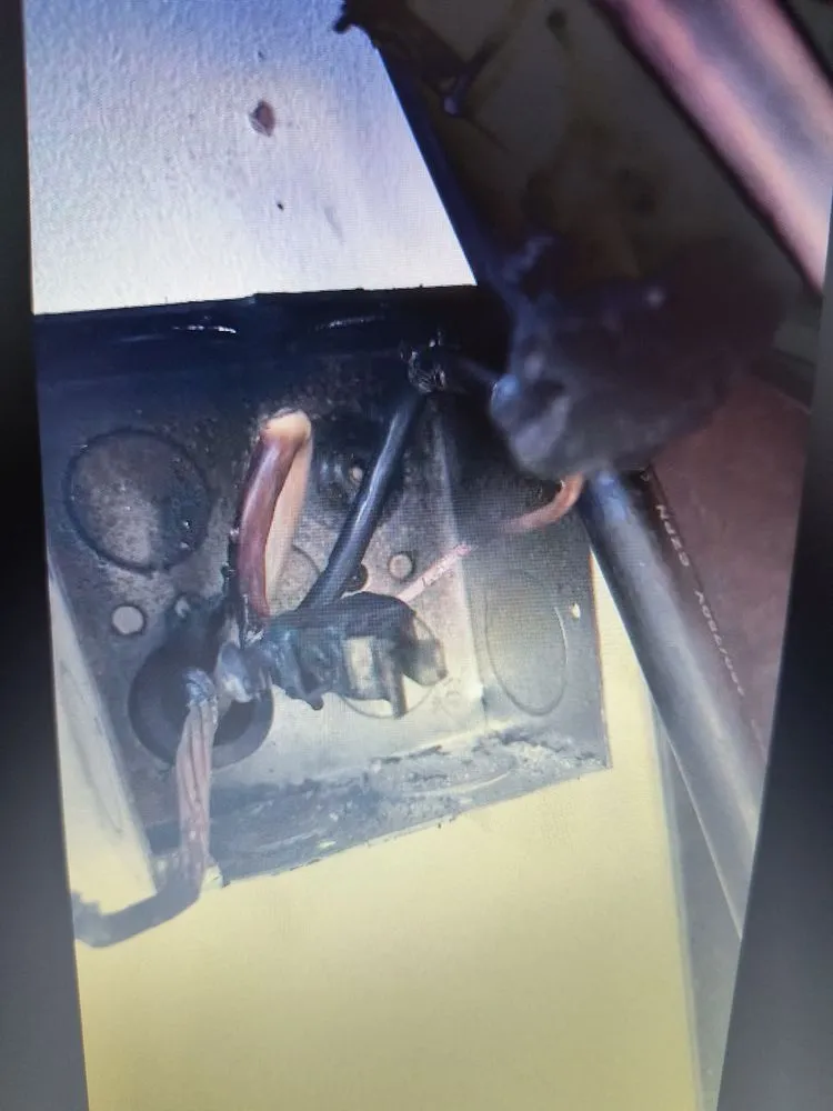 Slide of Lyon's Electric