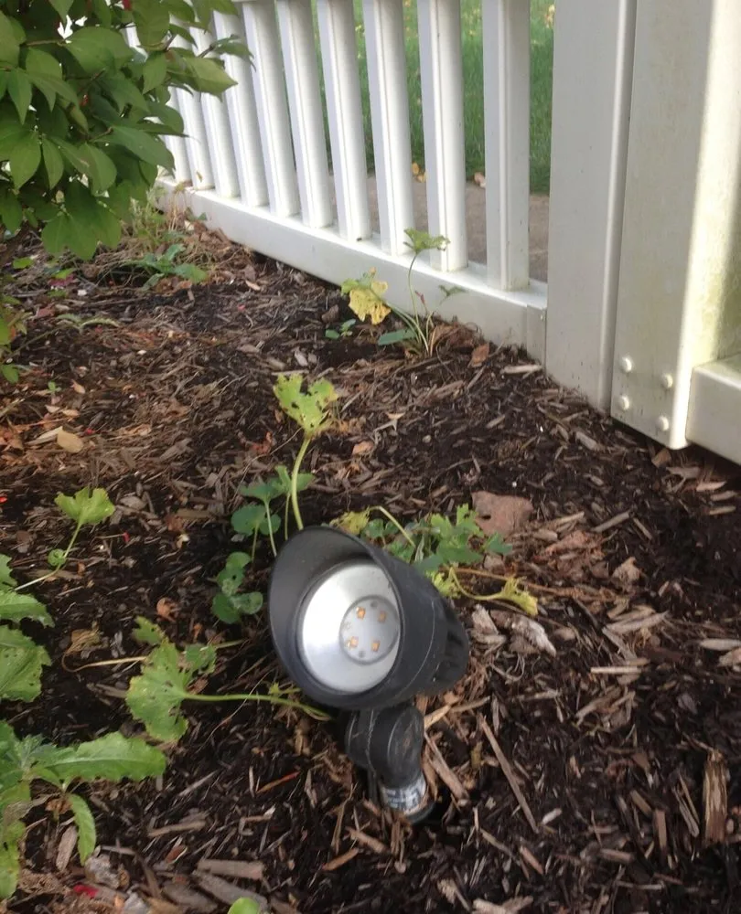 Slide of Lyons Emergency Electric