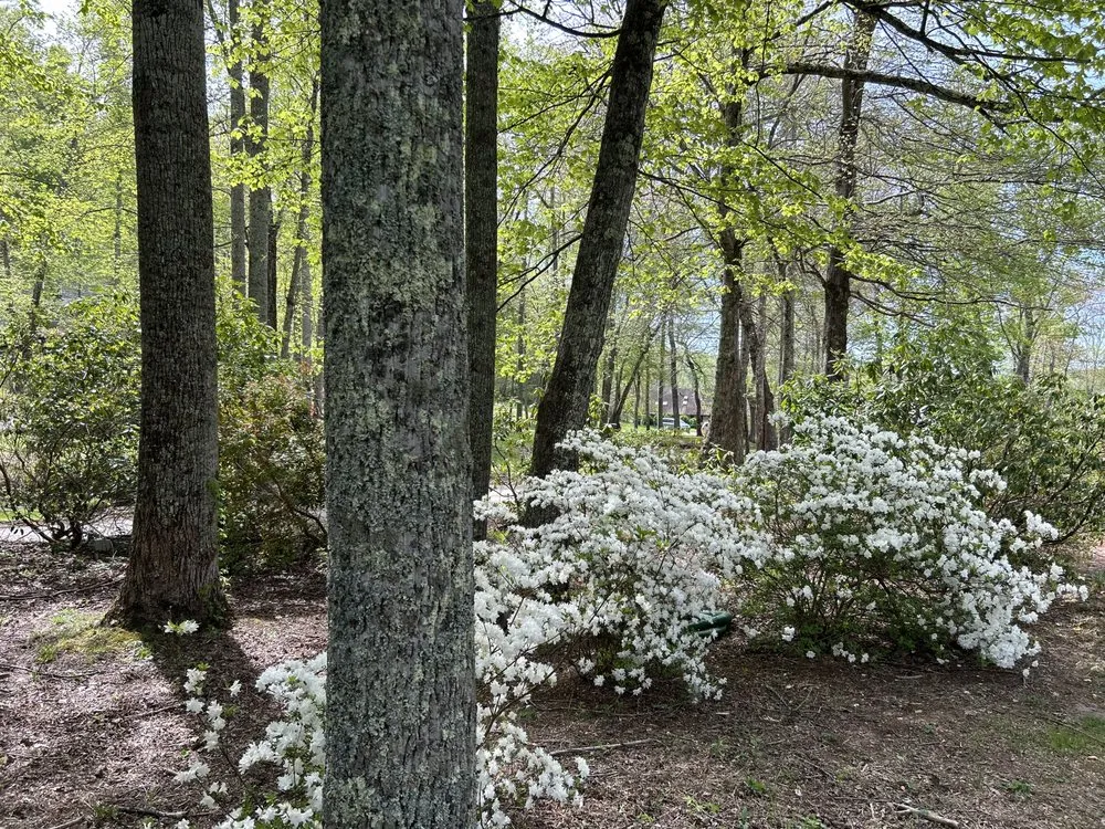 Slide of M Enterprises