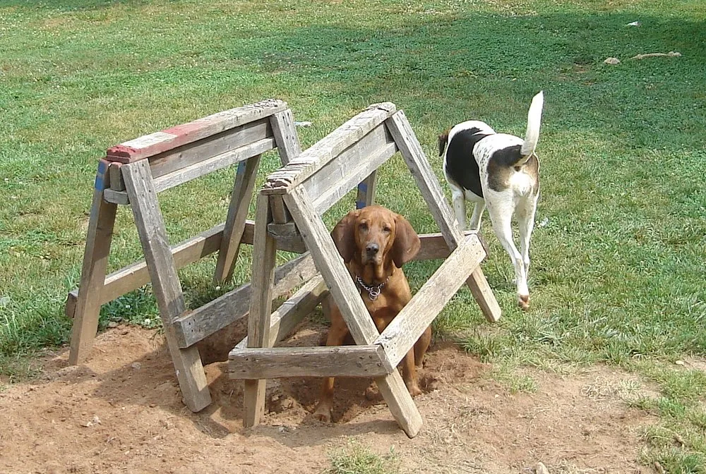 Slide of M Long Electric