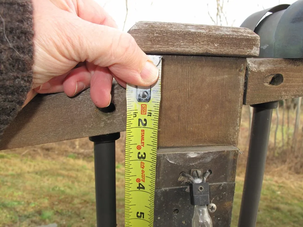 Slide of M P Blount & Son