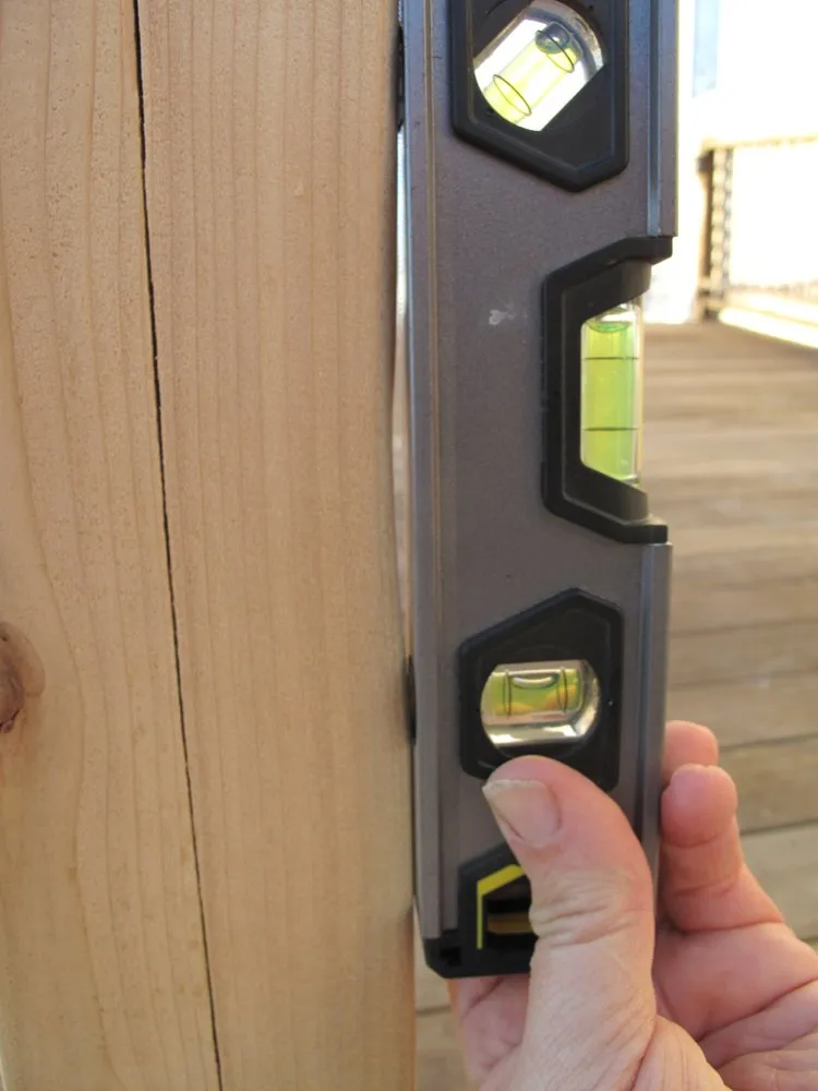 Slide of M P Blount & Son