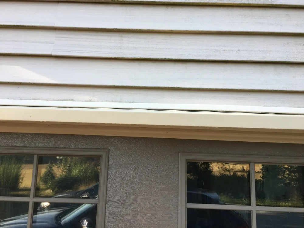 Slide of M P Blount & Son