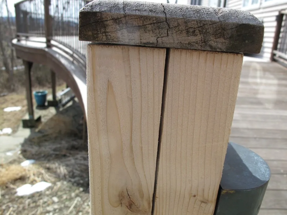 Slide of M P Blount & Son