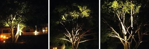 Slide of Macy Electric