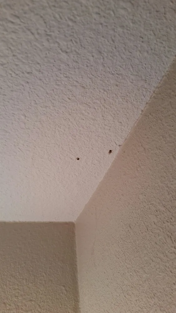 Slide of Madsen Electric