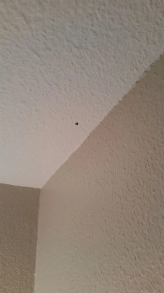 Slide of Madsen Electric