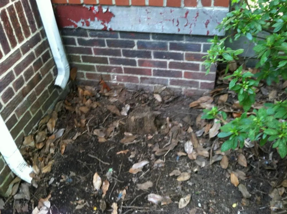 Reliable electrical service for homes in lighting installation,  by 