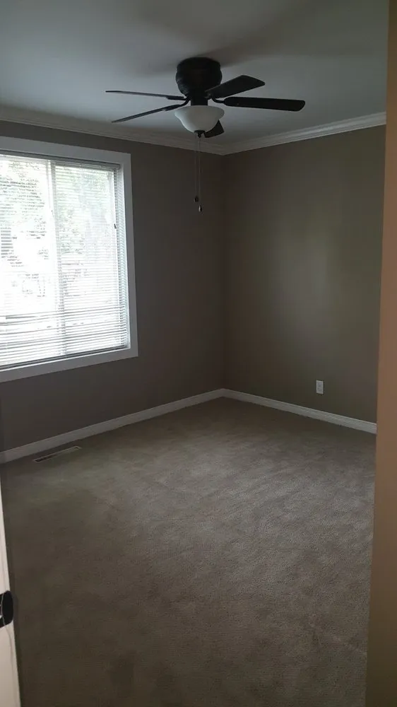 Expert outlet and switch repair experts serving , - Magic Lamp Handyman Service