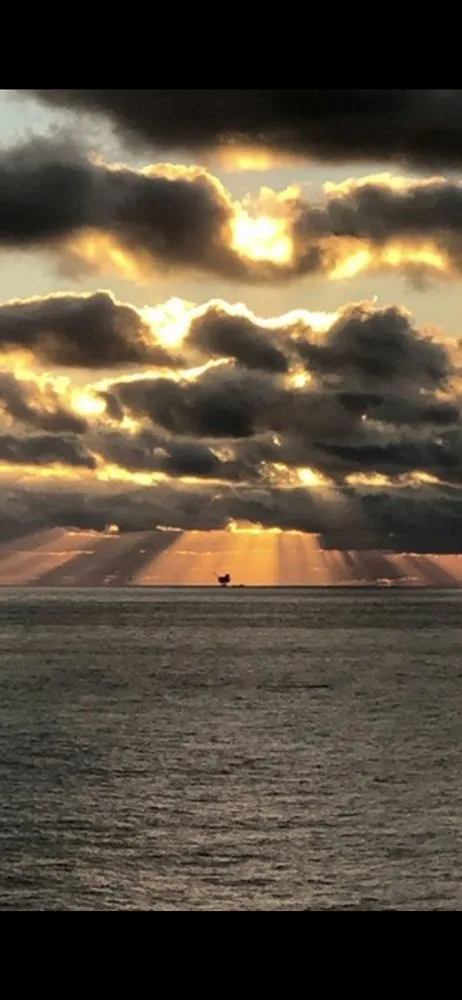 Slide of Magnolia Electric