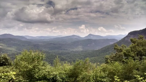 Maitland Electrical Services