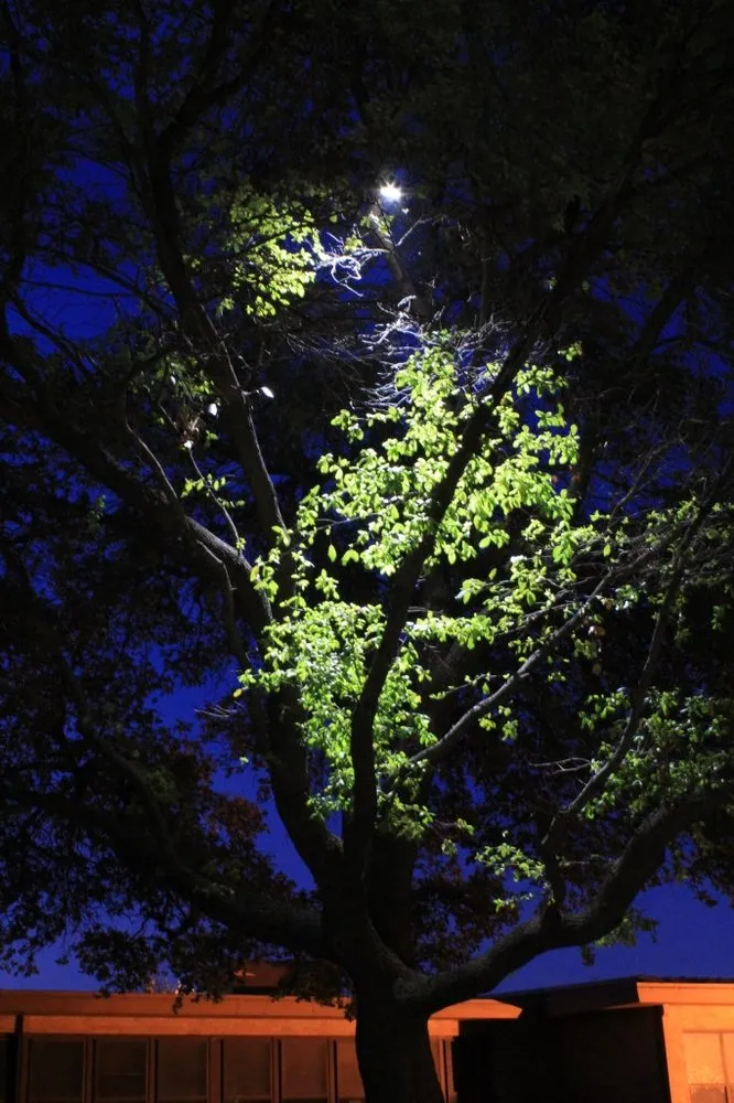 Trusted electrician providing electrical repair in Keller, TX - Majestic Outdoor Lighting