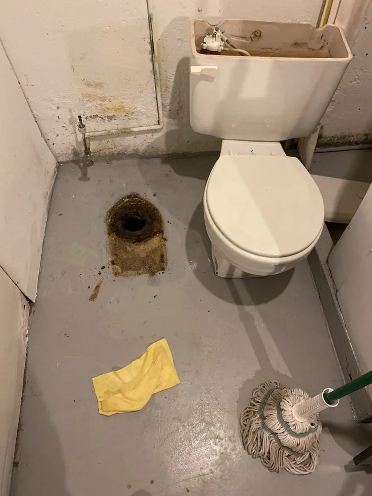 Slide of Majestic Property Maintenance