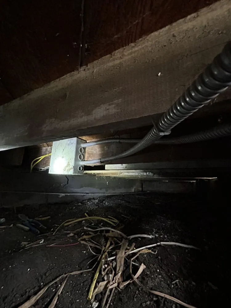 Slide of Major League Electric