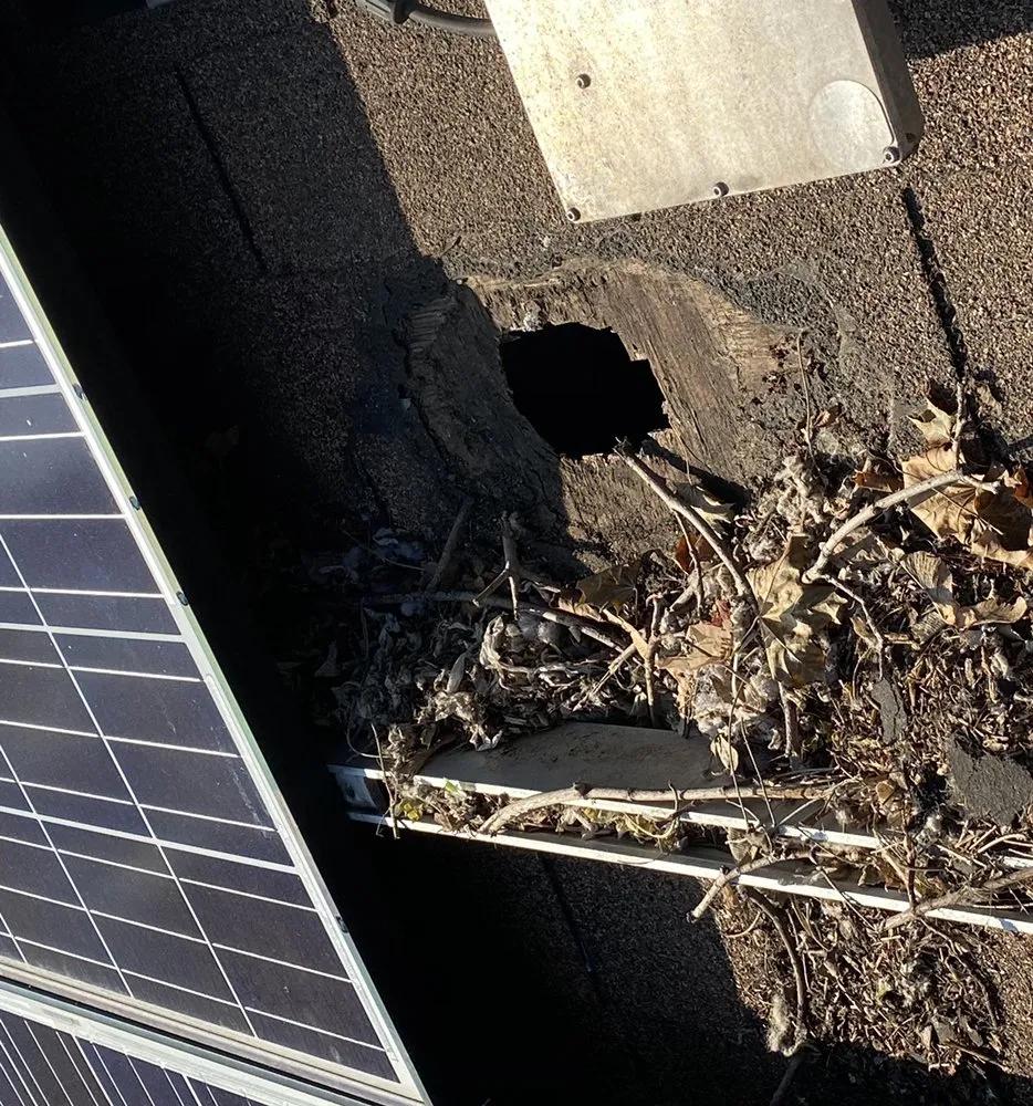 Slide of Makin’ Movez