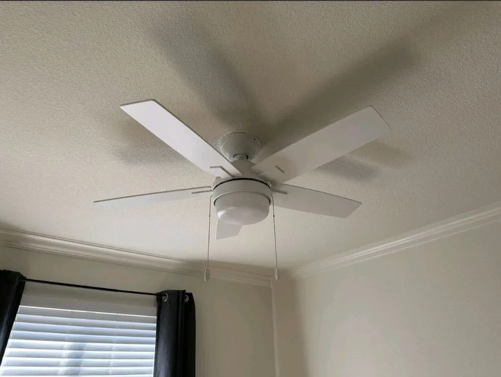 Slide of Maksim Electric