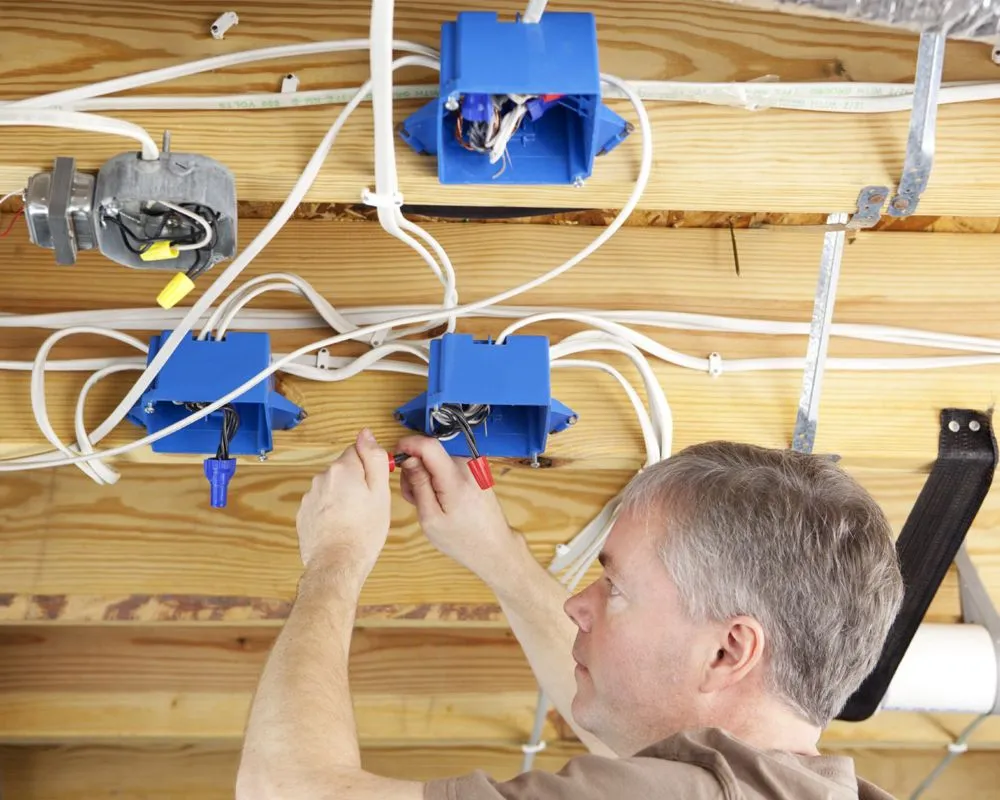 Slide of Mamalikeme Electrician