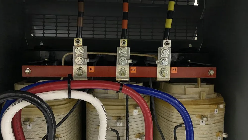 Slide of Manarez’s Electric