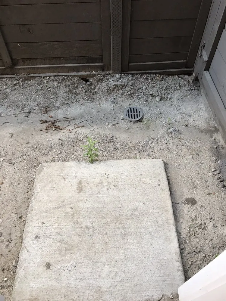 Slide of Mancer Electric