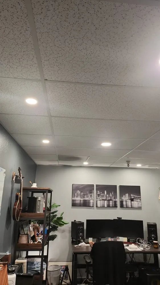 Slide of ManciaElectric