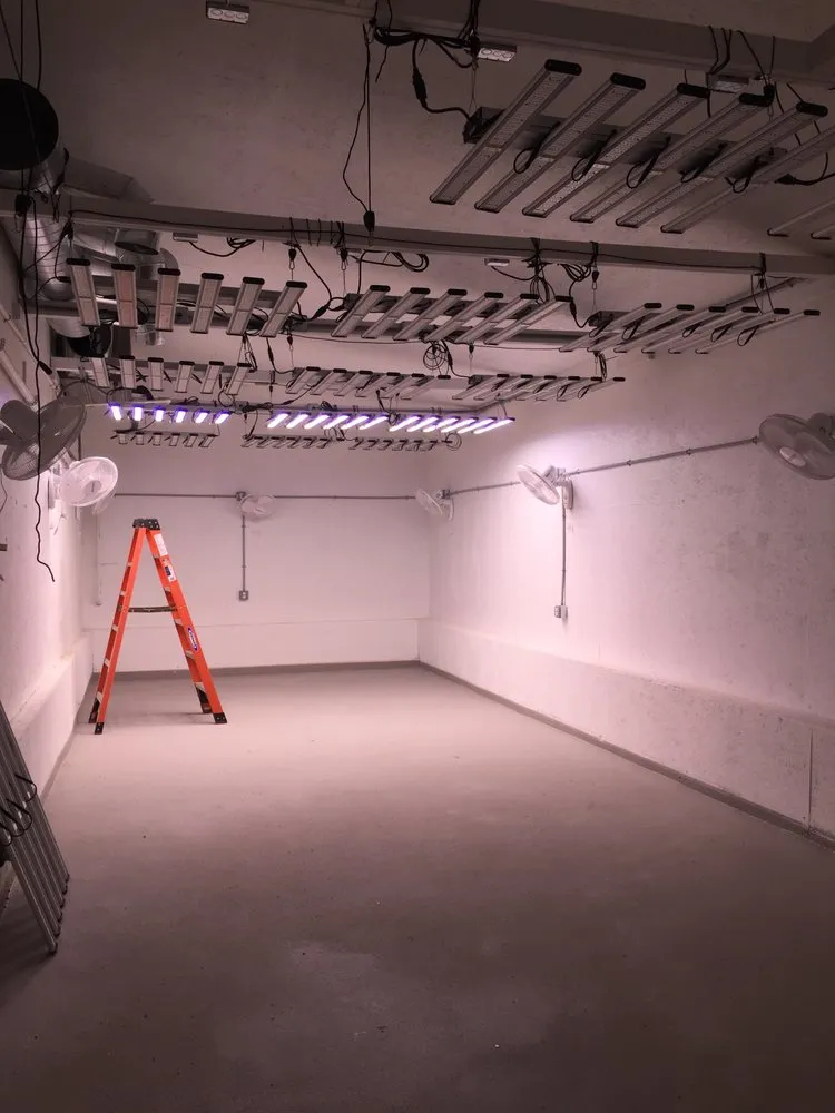 Slide of MANCUSO ELECTRIC