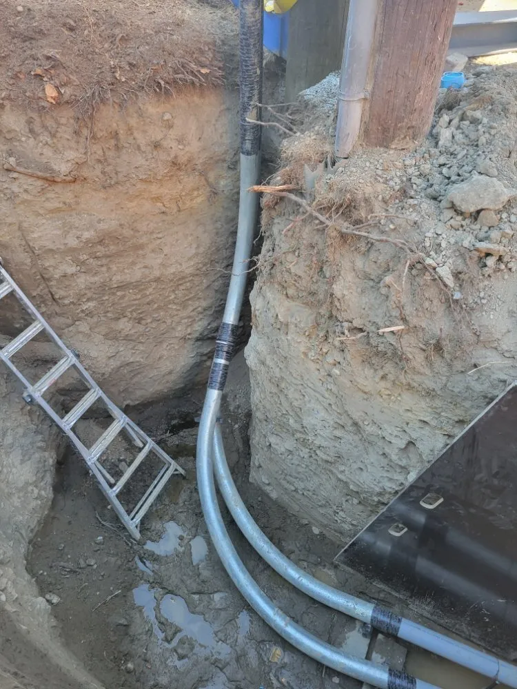 Slide of Mane Electric