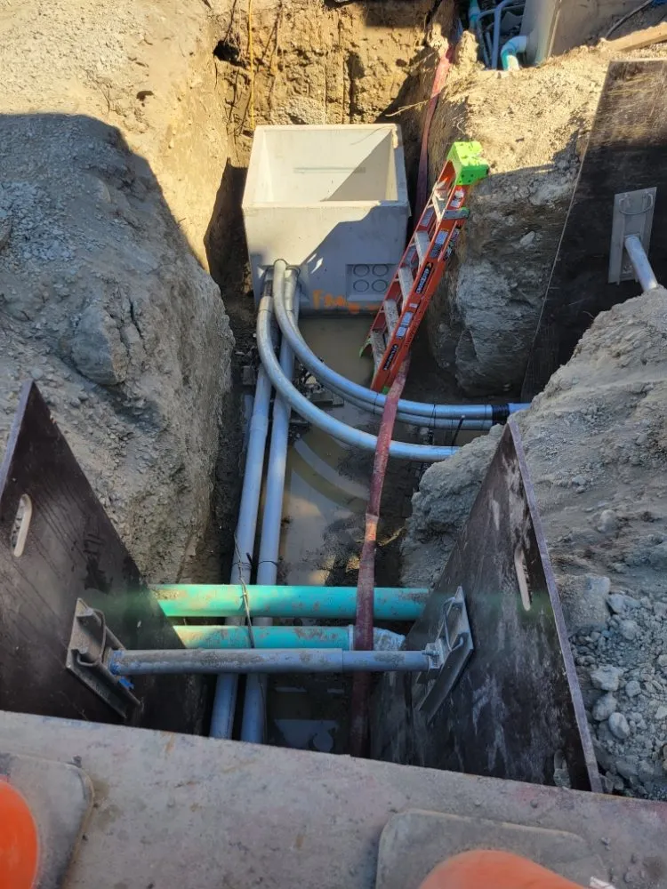 Slide of Mane Electric