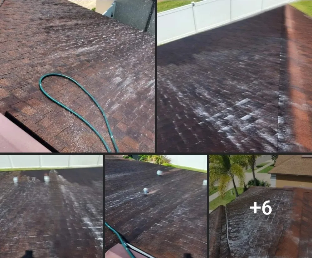 Slide of Mangin Services