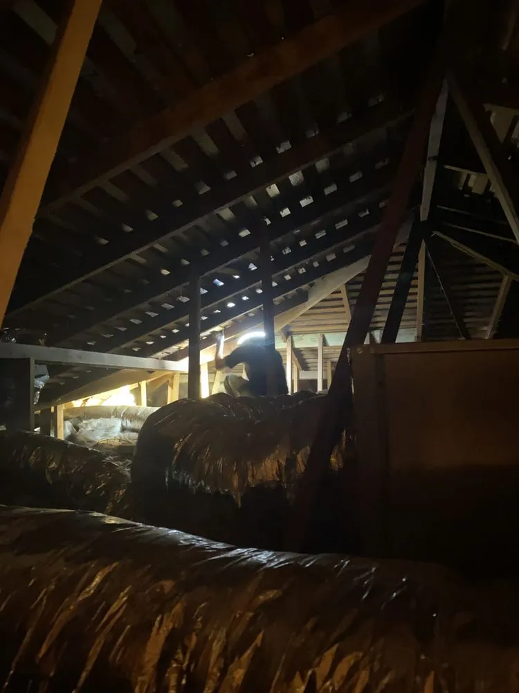 Slide of Manny's Electric