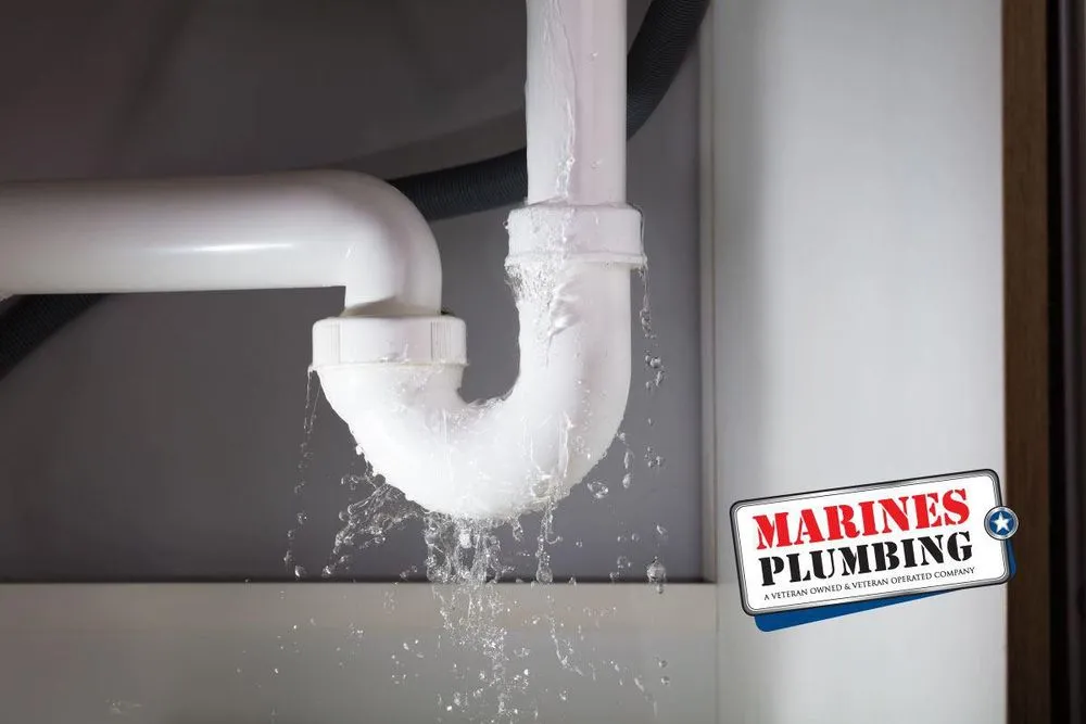 Slide of Marines Service