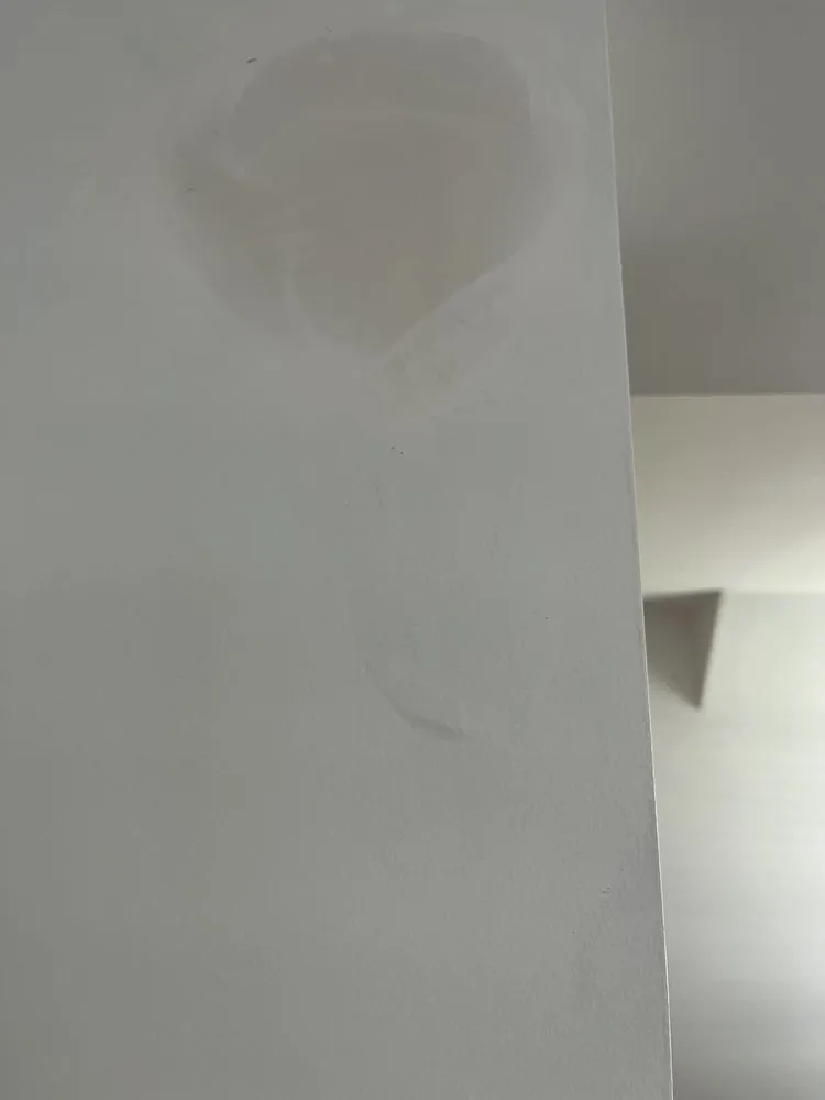 Slide of Mario & General Contractor