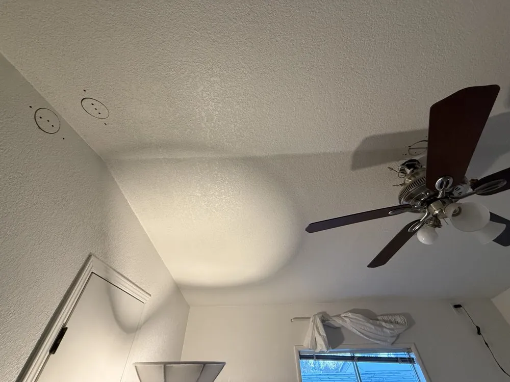 Slide of Mario and Luigi Electric