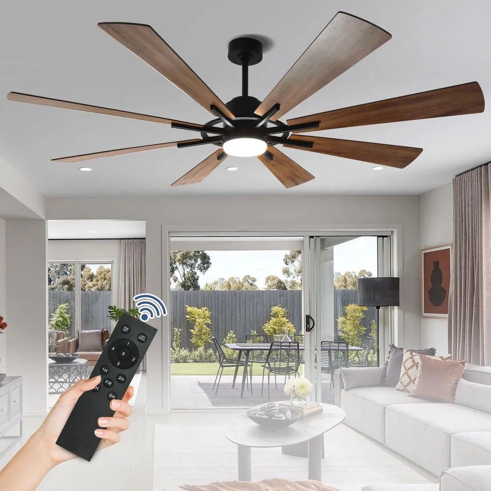 Slide of Mario Electric