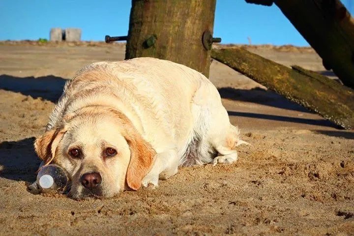 Slide of Mark Prokowiew Electrical