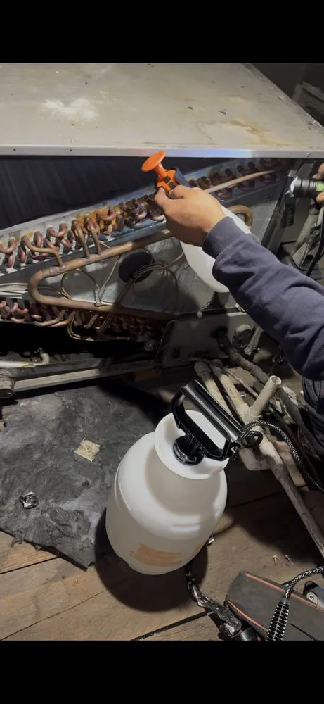 Slide of Marsa Remodeling