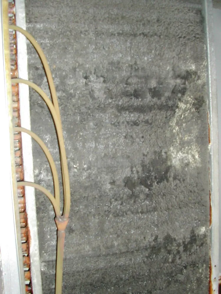 Professional circuit breaker repair service in , - Martin Mechanical Services