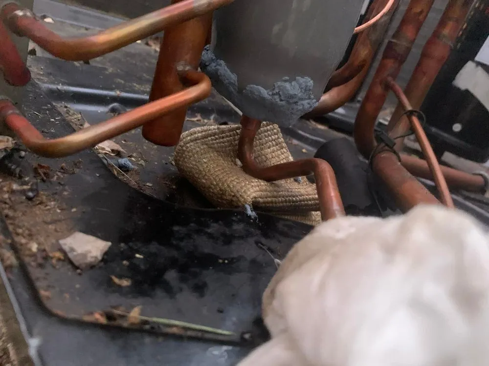 Slide of Martin’s Ac