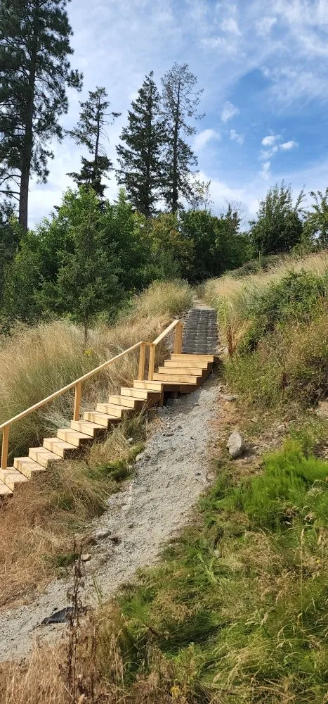 Reliable electrical service for homes in outlet and switch repair,  by 