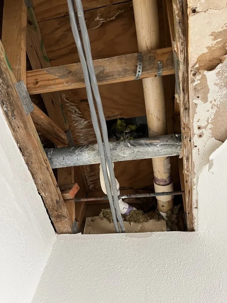 Slide of Master Dave Electric