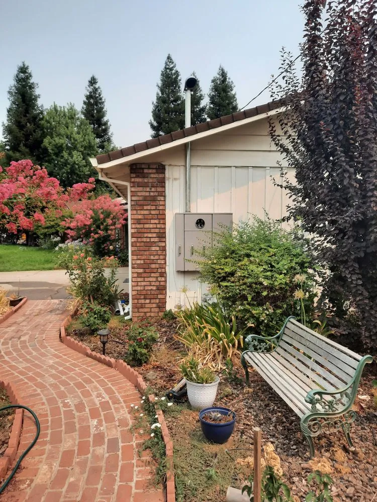 Slide of Master Electric