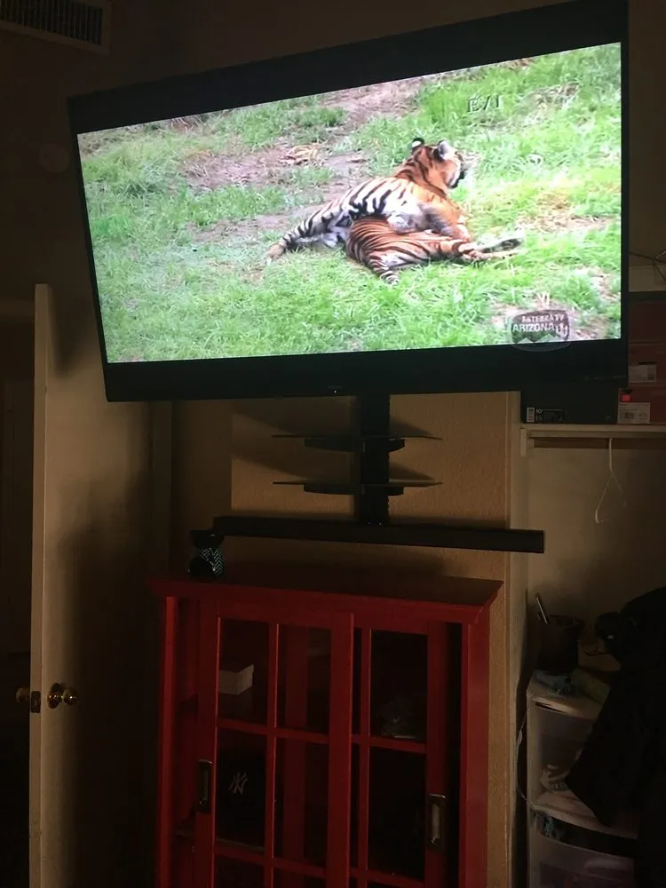 Slide of Master Mounts