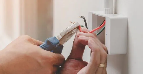 Master Technicians & Mechanicals