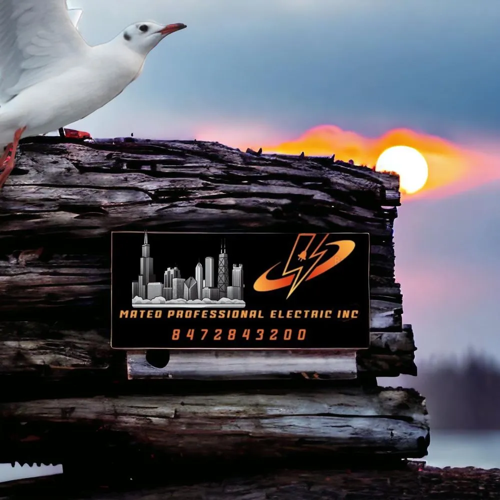 Slide of Mateo Professional Electric