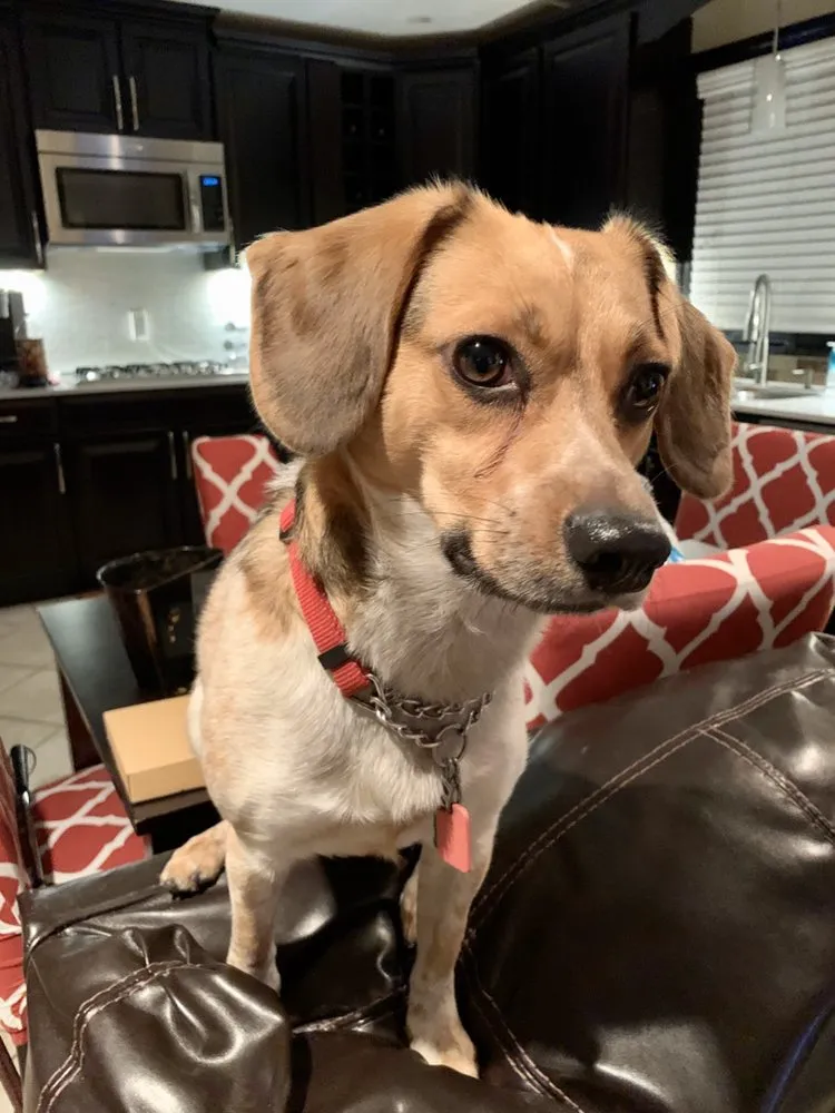 Slide of Matt-Mark Service