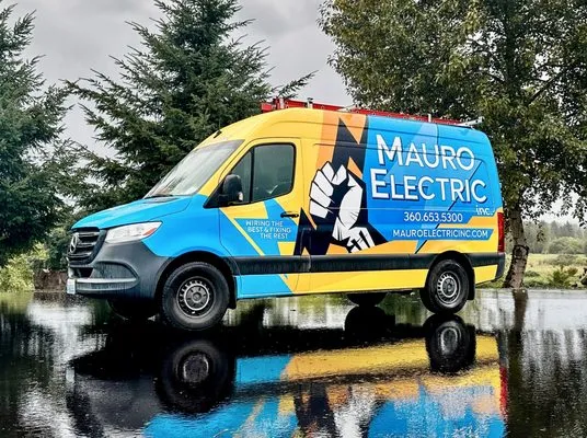 Mauro Electric