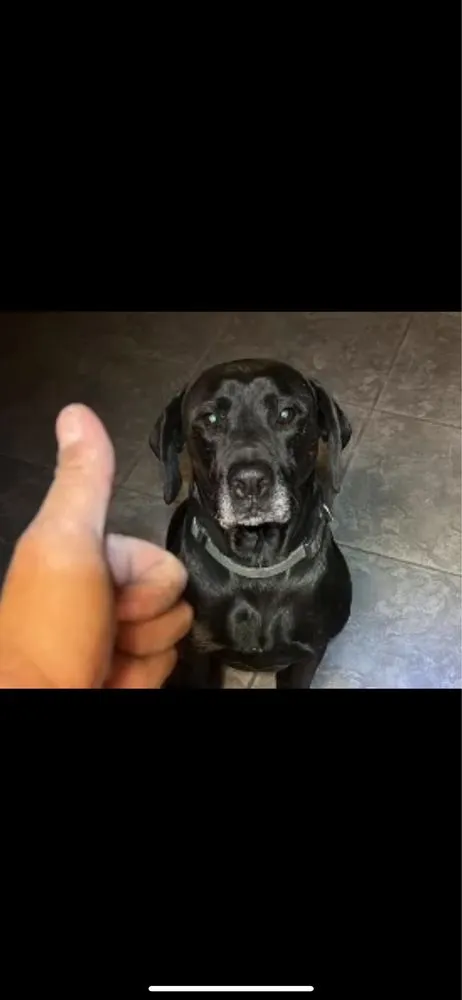 Slide of Max Effort Electric