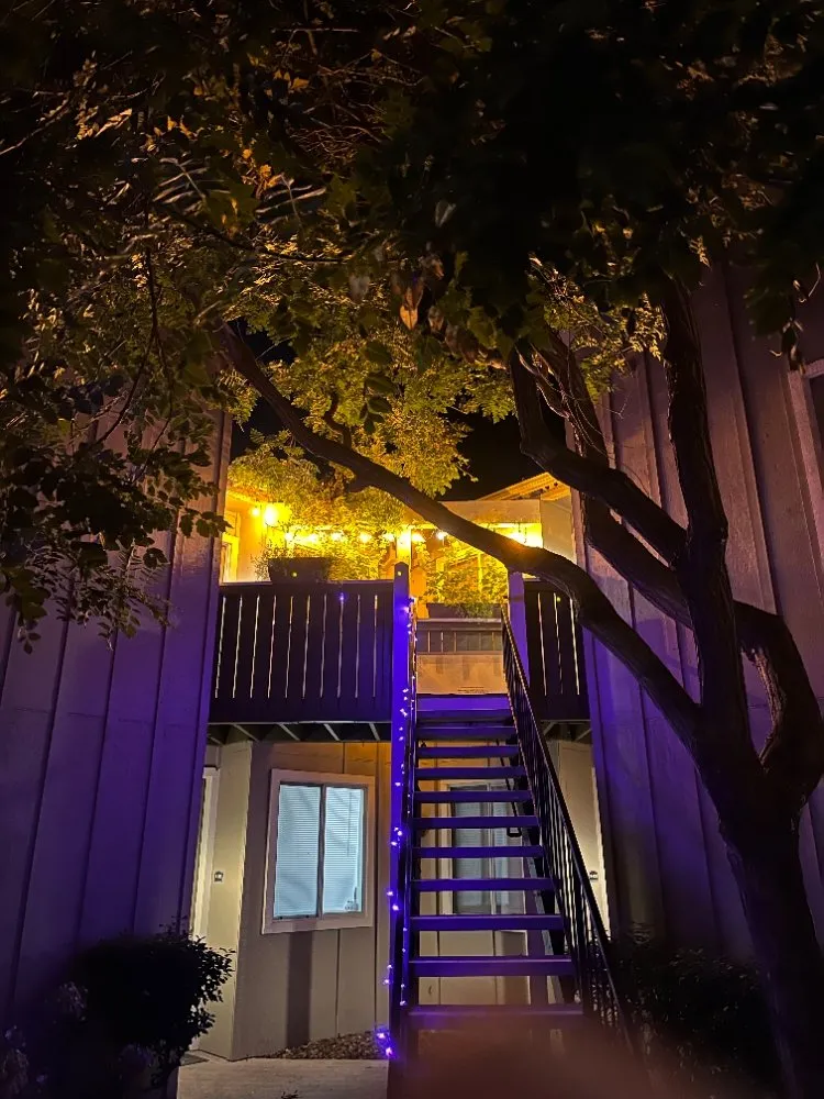 Slide of Max Electrician